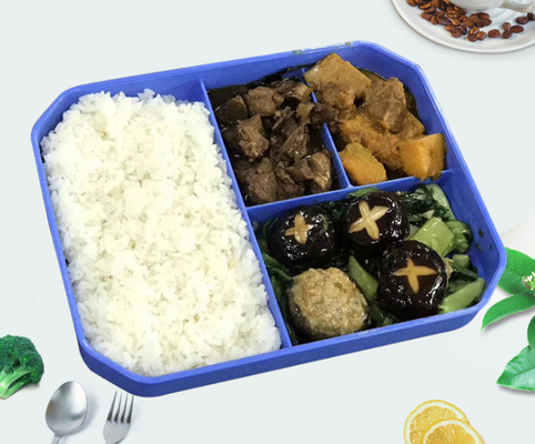 সোশ্যাল গ্রুপ ক্যাটারিং-এর জন্য শিশুদের পুনঃব্যবহারযোগ্য প্লাস্টিক লাঞ্চ ট্রে